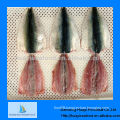 Frozen horse mackerel fish